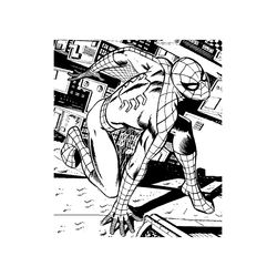 Spiderman #48490