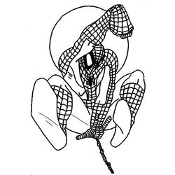 Spiderman #48496
