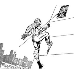 Spiderman #48506