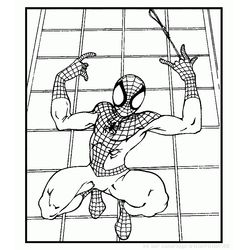 Spiderman #48512
