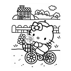 Bicicleta #49381