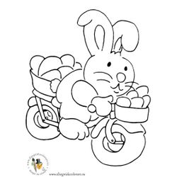 Bicicleta #49395