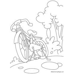 Bicicleta #49411