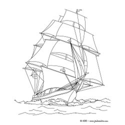 Barco #49479