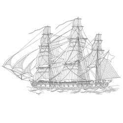 Barco #49541