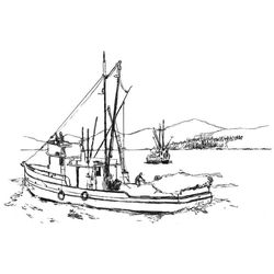 Barco #49542