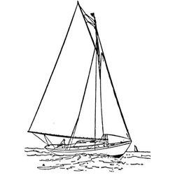 Barco #49545