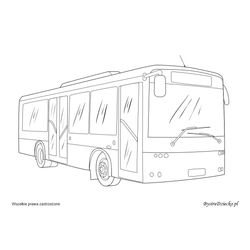 Autobús #49662