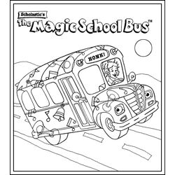 Autobús #49700