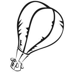 Globo aerostático #50322