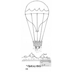 Globo aerostático #50325