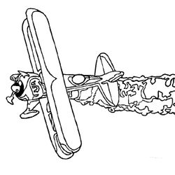 Avión #50804