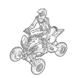 Quad #50972