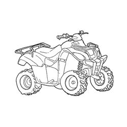 Quad #50973