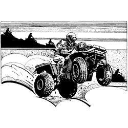 Quad #50981