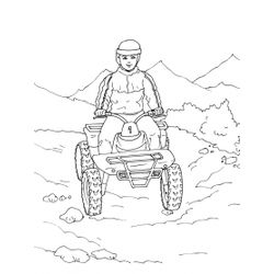 Quad #50985