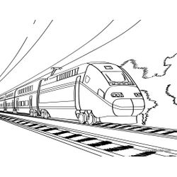 Tren #51979