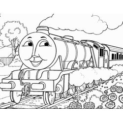 Tren #52034