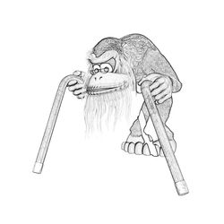 Donkey Kong #52442